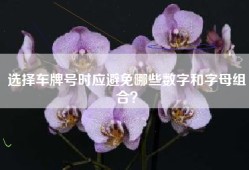 选择车牌号时应避免哪些数字和字母组合？