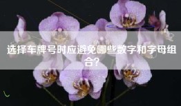 选择车牌号时应避免哪些数字和字母组合？