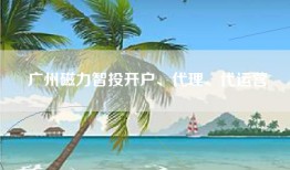广州磁力智投开户、代理、代运营