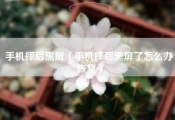 手机摔后黑屏（手机摔后黑屏了怎么办恢复）