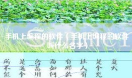手机上编程的软件（手机上编程的软件叫什么名字）