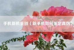 手机新机鉴别（新手机如何鉴定真伪）