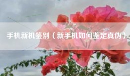 手机新机鉴别（新手机如何鉴定真伪）