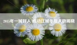 2015年一城好人 感动江城年度人物揭晓