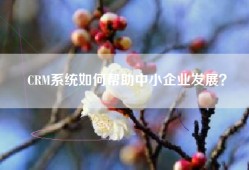 CRM系统如何帮助中小企业发展？
