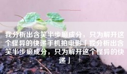 我分析出含笑半步癫成分，只为解开这个怪异的快递手机拍电影「我分析出含笑半步癫成分，只为解开这个怪异的快递」