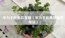华为手机售后客服（华为手机售后服务电话）