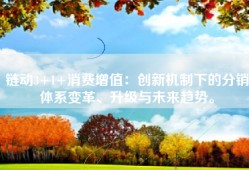 链动3+1+消费增值：创新机制下的分销体系变革、升级与未来趋势。