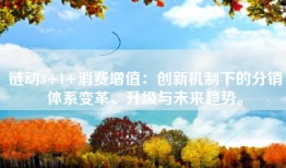 链动3+1+消费增值：创新机制下的分销体系变革、升级与未来趋势。