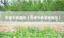 天使手机壁纸（天使手机壁纸图片）