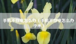 手机不存电怎么办（手机不存电怎么办小米）