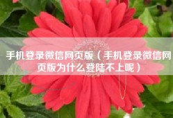 手机登录微信网页版（手机登录微信网页版为什么登陆不上呢）