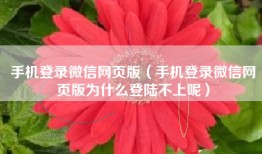 手机登录微信网页版（手机登录微信网页版为什么登陆不上呢）
