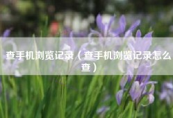 查手机浏览记录（查手机浏览记录怎么查）