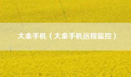 大拿手机（大拿手机远程监控）
