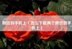 微信到手机上（怎么下载两个微信到手机上）