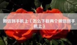微信到手机上（怎么下载两个微信到手机上）