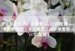 千元机怎么选？来看看vivo Y37的配置vivoy37手机多少钱「千元机怎么选？来看看vivo Y37的配置」