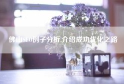 佛山SEO例子分析,介绍成功优化之路