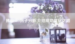 佛山SEO例子分析,介绍成功优化之路