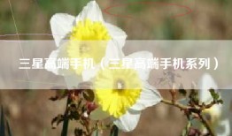 三星高端手机（三星高端手机系列）