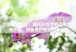 百度账户优化，提升在线营销效果的关键步骤，百度账户优化方案思路