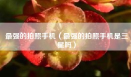 最强的拍照手机（最强的拍照手机是三星吗）