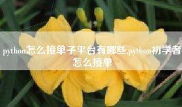 python怎么接单子平台有哪些,python初学者怎么接单