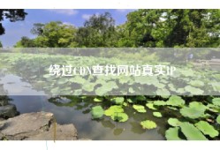 绕过CDN查找网站真实IP