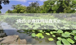绕过CDN查找网站真实IP