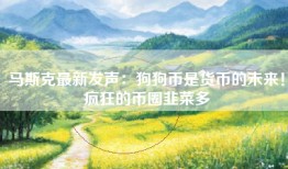 马斯克最新发声：狗狗币是货币的未来！疯狂的币圈韭菜多