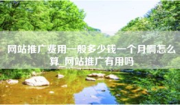 网站推广费用一般多少钱一个月啊怎么算_网站推广有用吗