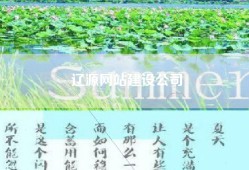 辽源网站建设公司