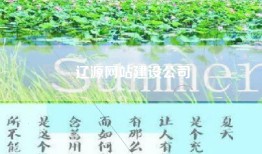 辽源网站建设公司