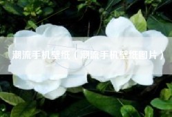 潮流手机壁纸（潮流手机壁纸图片）