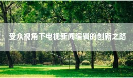 受众视角下电视新闻编辑的创新之路