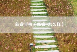 新睿手机（新睿it怎么样）