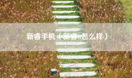 新睿手机（新睿it怎么样）