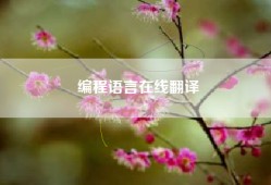 编程语言在线翻译