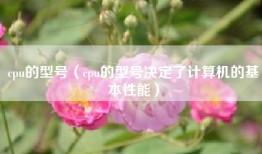 cpu的型号（cpu的型号决定了计算机的基本性能）