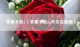 苹果手机5（苹果手机5g开关在哪里）