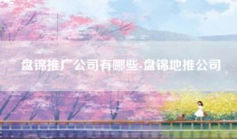 盘锦推广公司有哪些-盘锦地推公司