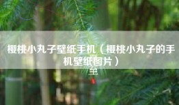 樱桃小丸子壁纸手机（樱桃小丸子的手机壁纸图片）
