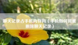 聊天记录占手机内存吗（手机如何彻底删除聊天记录）