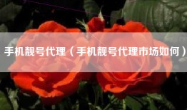 手机靓号代理（手机靓号代理市场如何）
