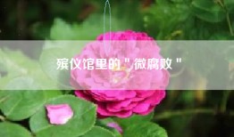 殡仪馆里的＂微腐败＂