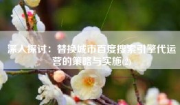 深入探讨：替换城市百度搜索引擎代运营的策略与实施(2)