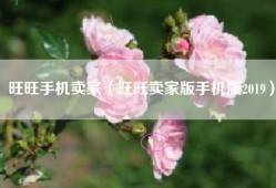 旺旺手机卖家（旺旺卖家版手机版2019）
