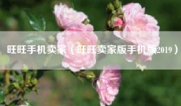 旺旺手机卖家（旺旺卖家版手机版2019）