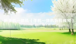 拆手机一体机（手机一体机拆机视频）